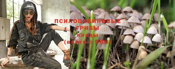 метадон Инта