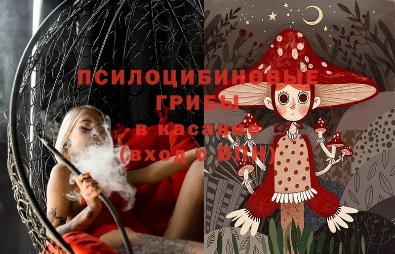 наркота  Барабинск  Псилоцибиновые грибы Magic Shrooms 