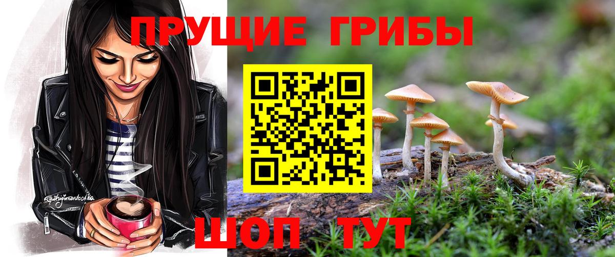 Галлюциногенные грибы мицелий Барабинск